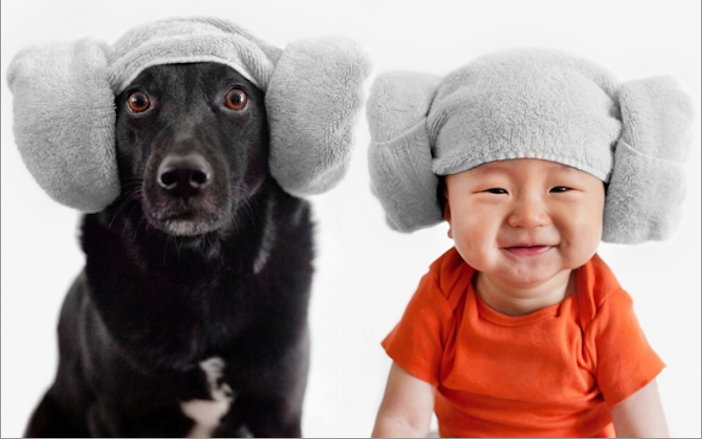 Fotos dos amigos: bebê e cachorro
