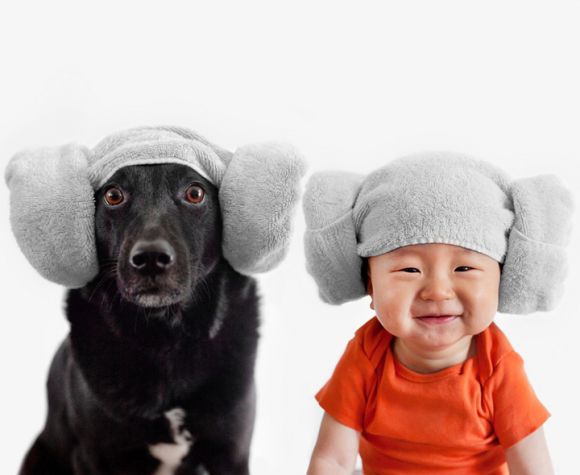 cachorro-e-bebe-10