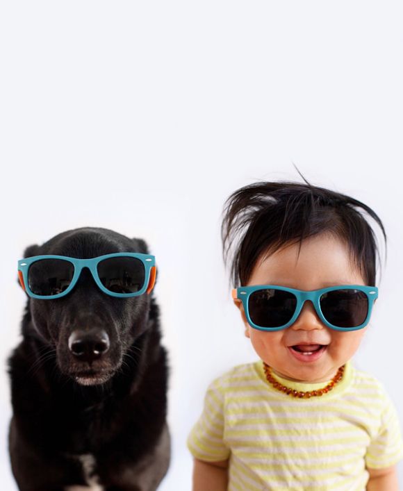 cachorro-e-bebe-11