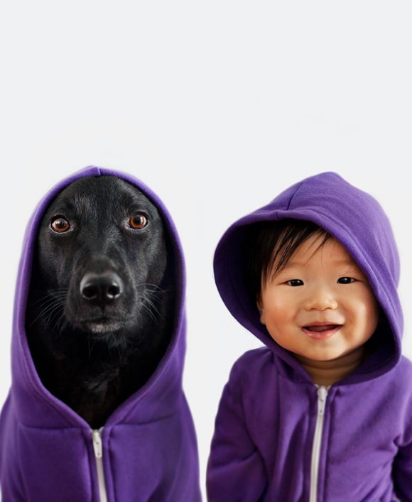 cachorro-e-bebe-2