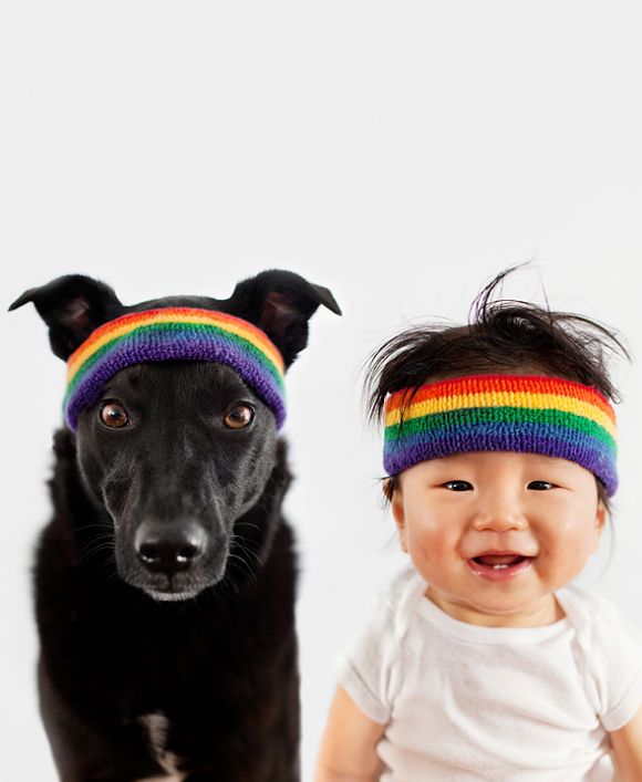 cachorro-e-bebe-5