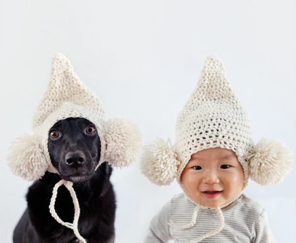 cachorro-e-bebe-7