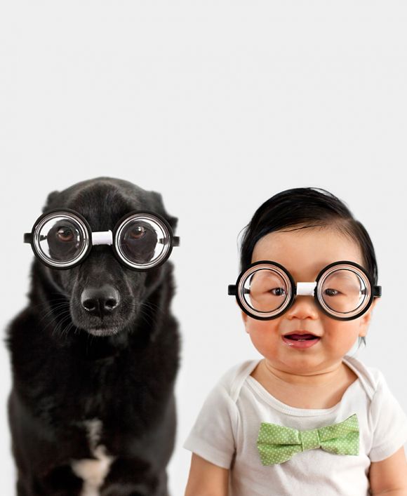 cachorro-e-bebe