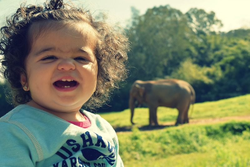 Passeio no Zoológico