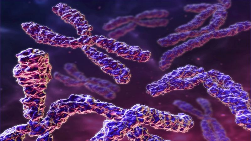 Sou Gestante: Exame de translucência nucal