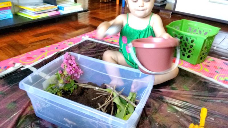atividades-20-meses-caixa-de-terra