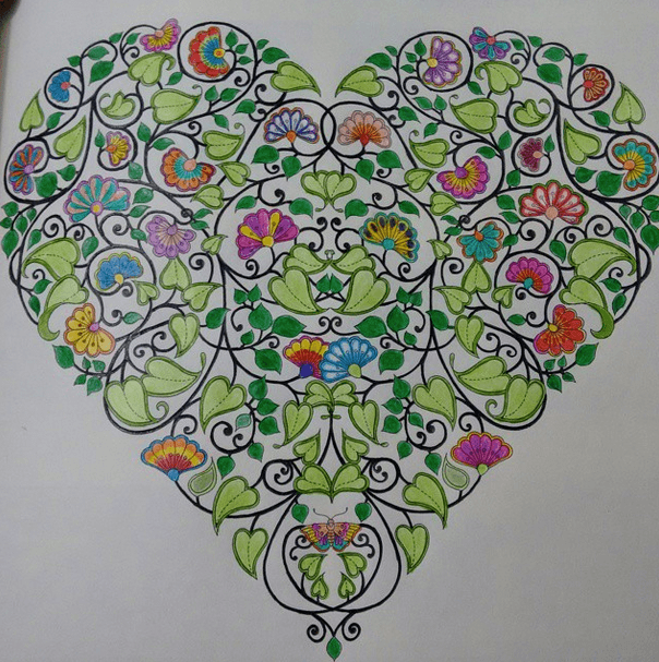 jardim-secreto-francyelle-frota