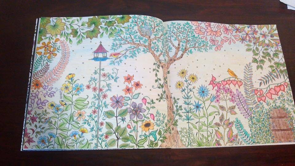 livro-de-colorir-jardim-secreto-claudia-dos-reis