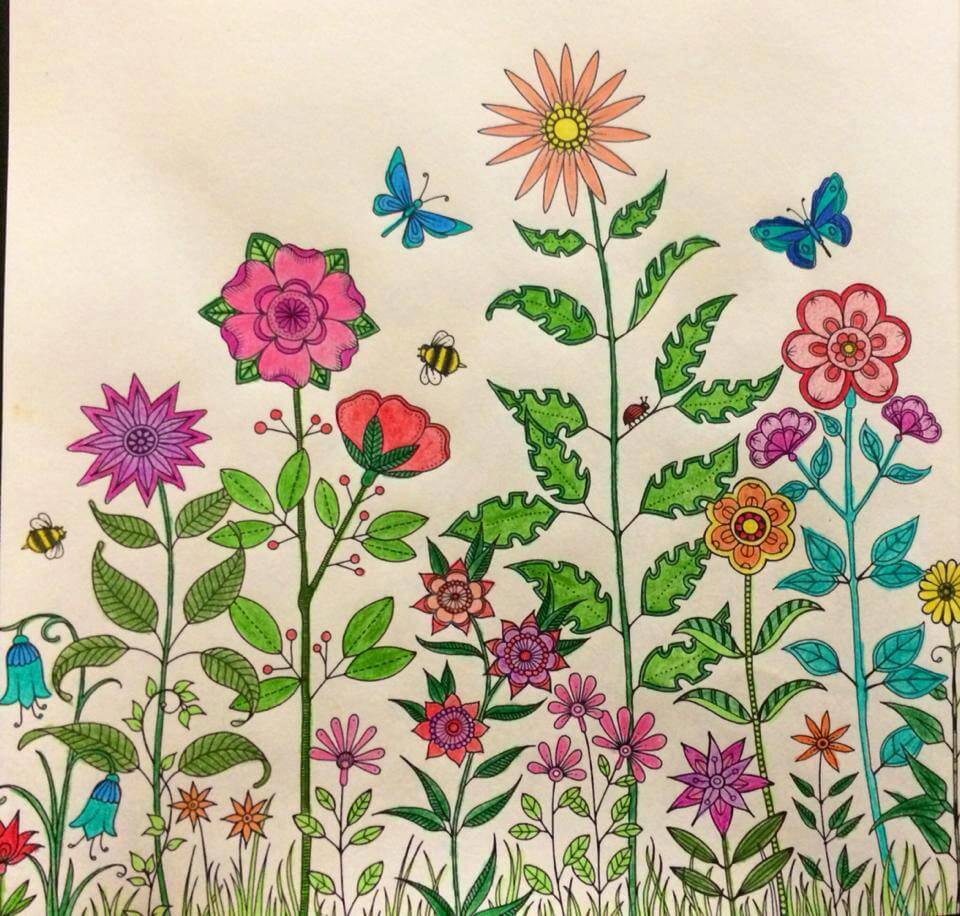 livro-de-colorir-jardim-secreto-lucia-costa