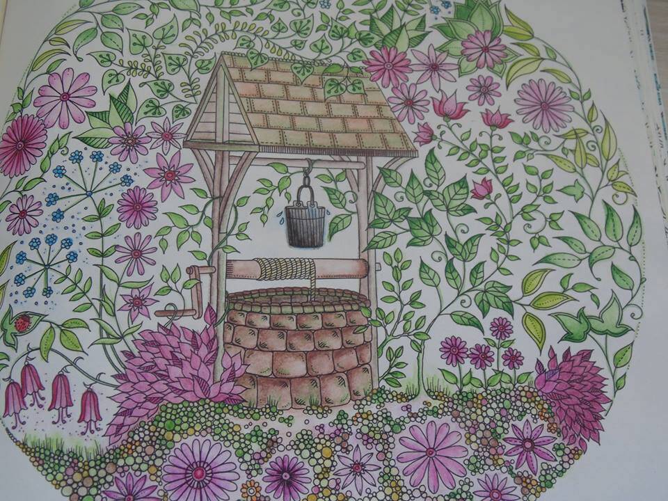 livro-de-colorir-jardim-secreto-neusicleia-linjardi