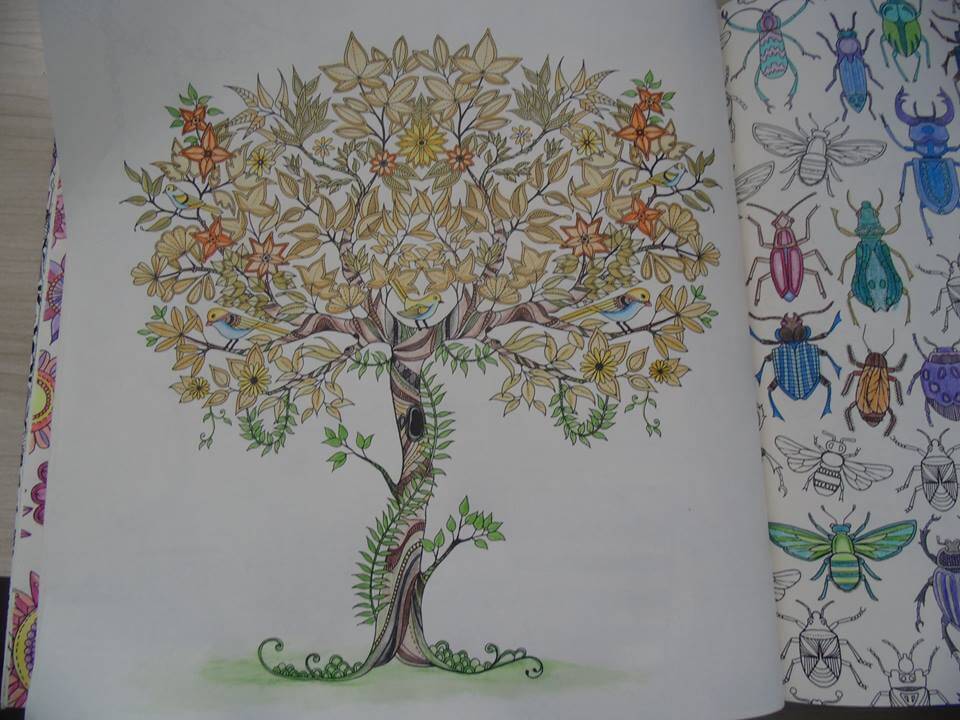 livro-de-colorir-jardim-secreto-neusicleia