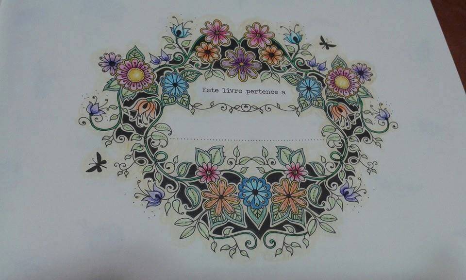 livro-de-colorir-jardim-secreto-valeria-burle
