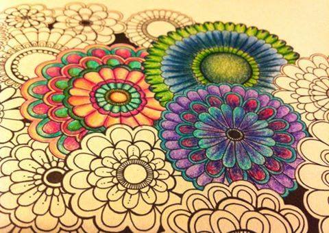 livro-de-colorir-jardim-secreto-vania-passos