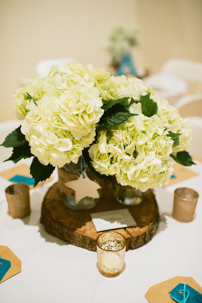 View More: http://reneehollingshead.pass.us/wishuponastarbabyshower