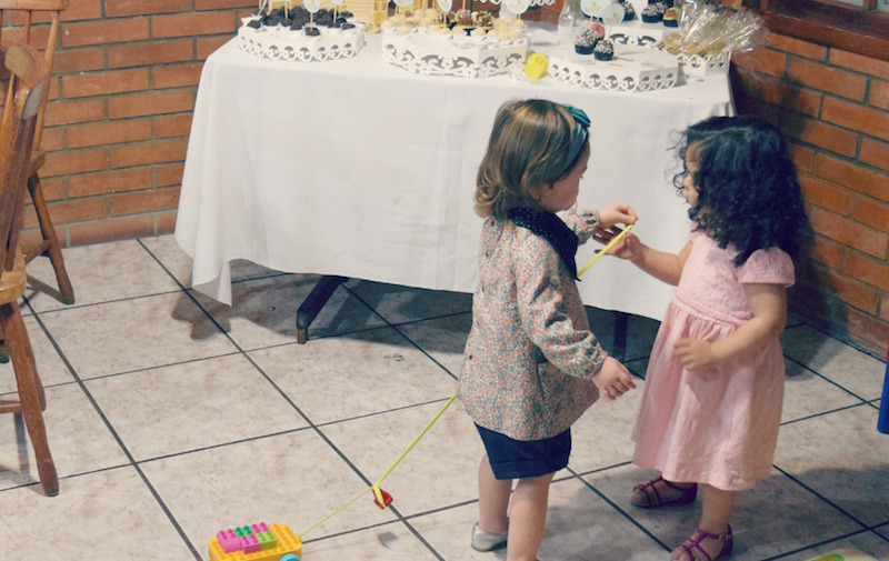 festa-arca-de-noe-amigas