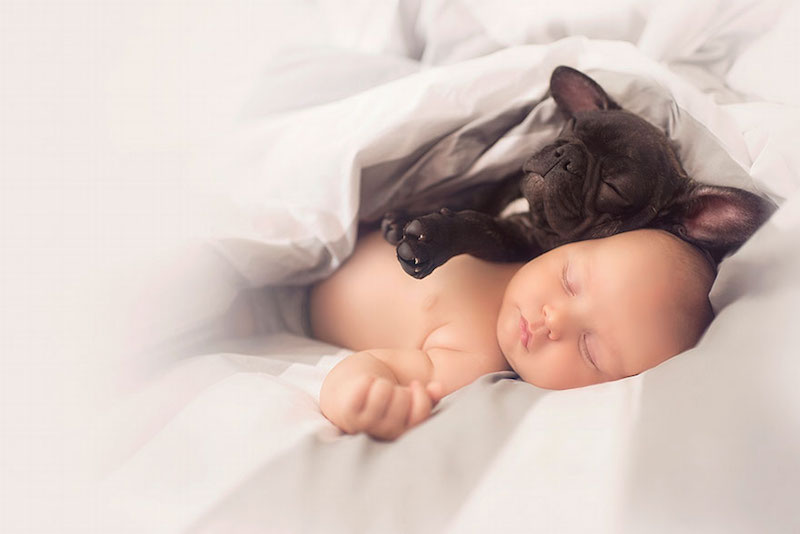 bebê-e-cachorro-amigos