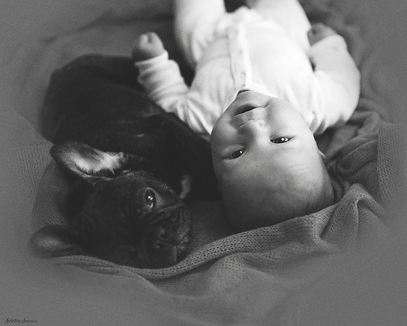 bebê-e-cachorro-felizes