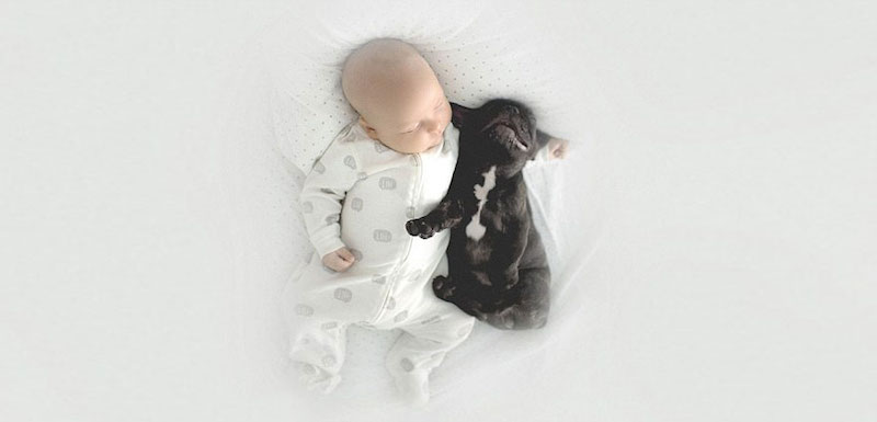 bebê-e-cachorro-lindas-fotos