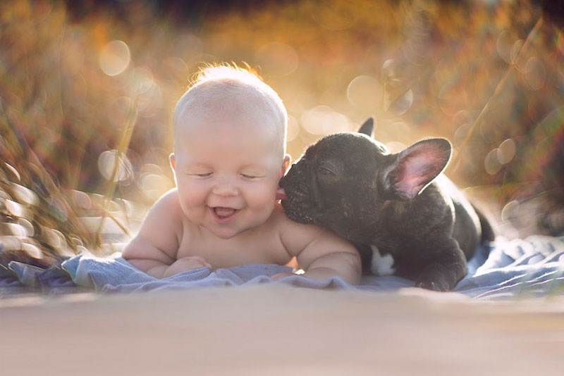 bebê-e-cachorro