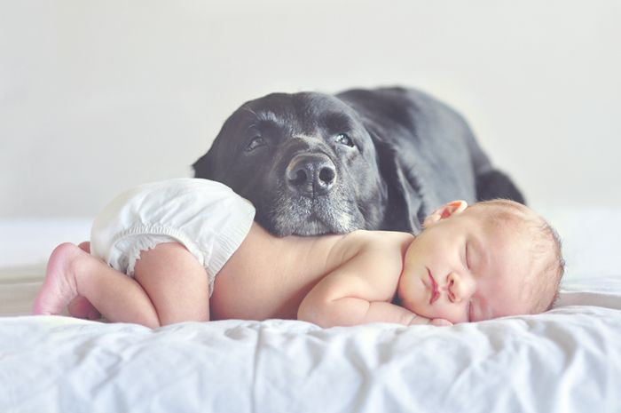 dicas para tirar fotos mãe e filhos cachorro lindo