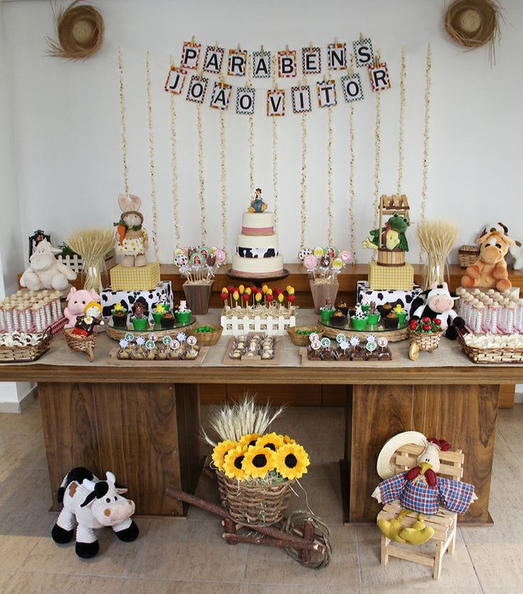 festa infantil fazendinha 1 ano