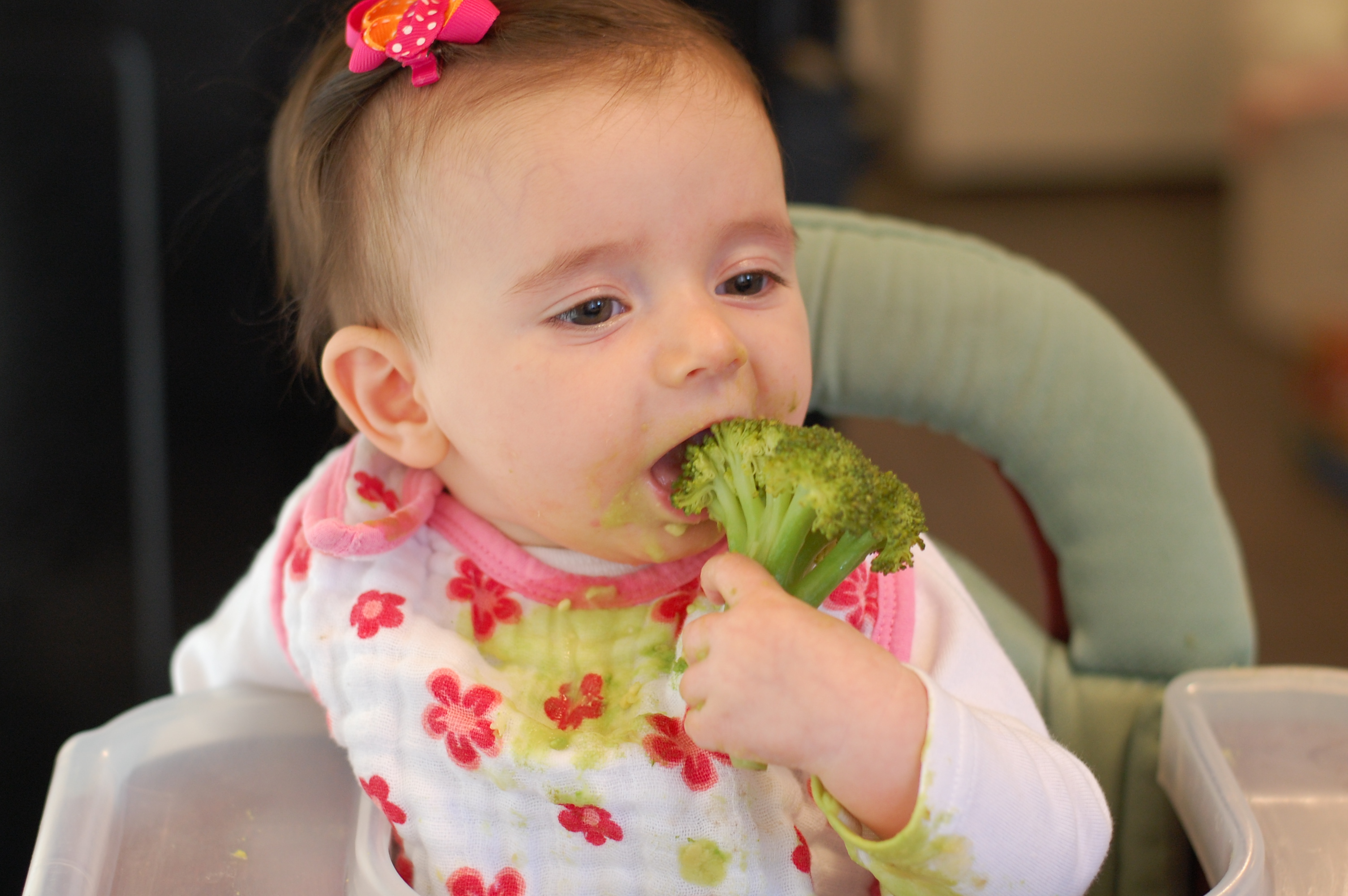 Baby Led Weaning (BLW) – Introdução Alimentar – Saiba Mais