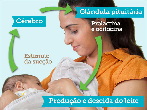 Breast-Feeding-BR