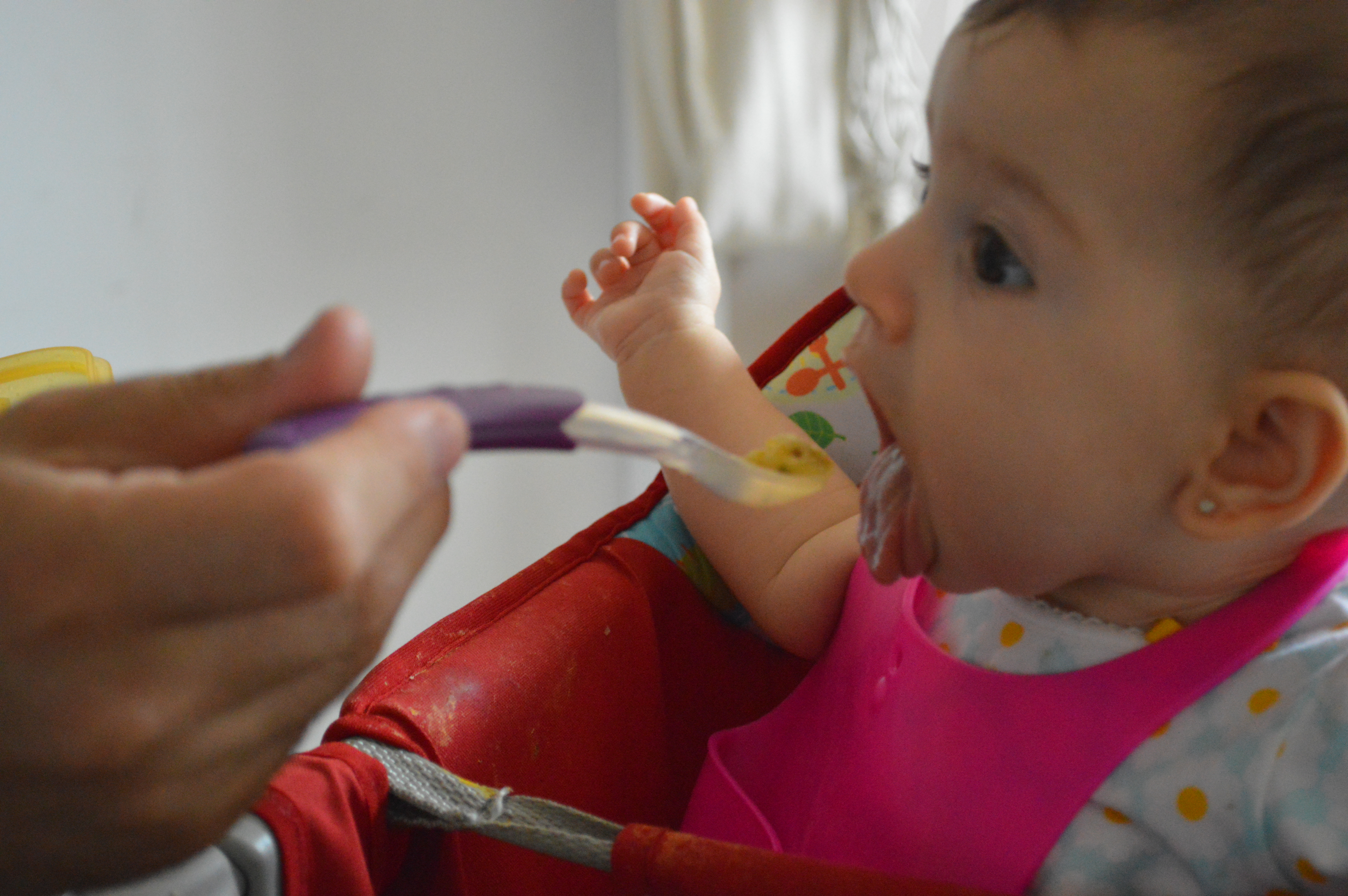 Introdução Alimentar Beatriz – Parte II – Papinhas Salgadas