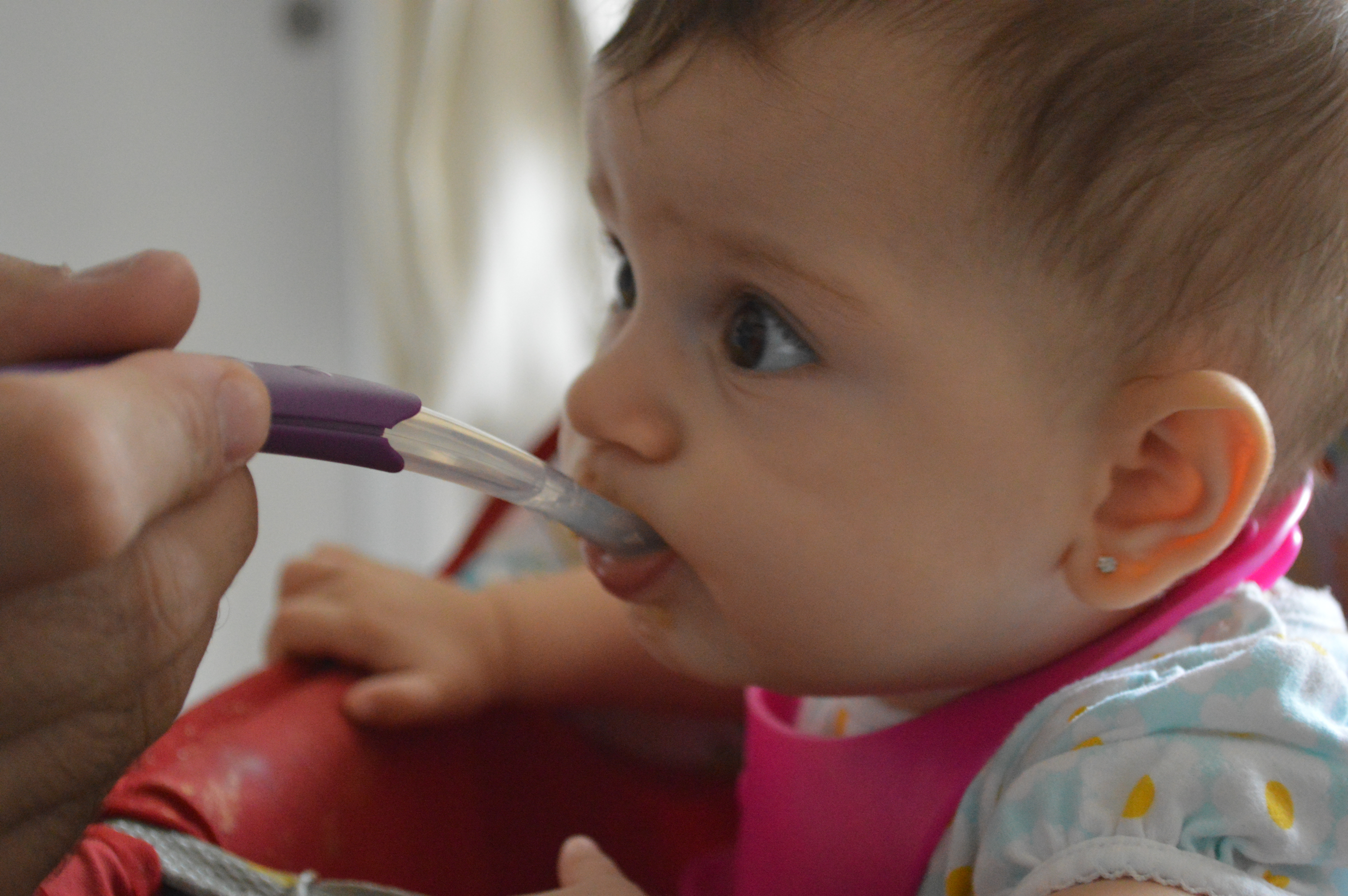 Introdução Alimentar da Beatriz – O começo