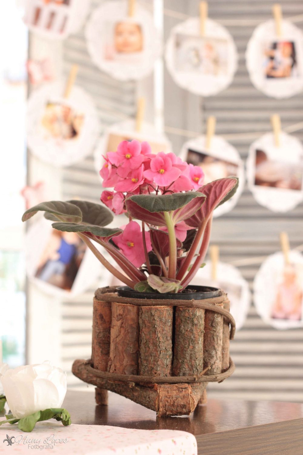 festa-infantil-tema-jardim-flores