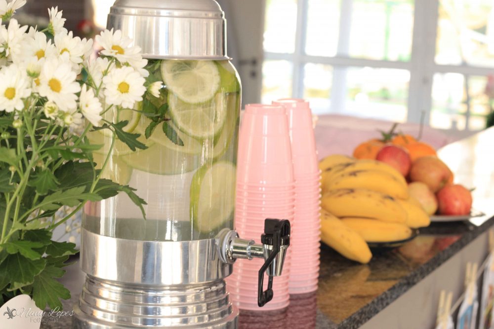 festa-infantil-tema-jardim-bebidas-frutas