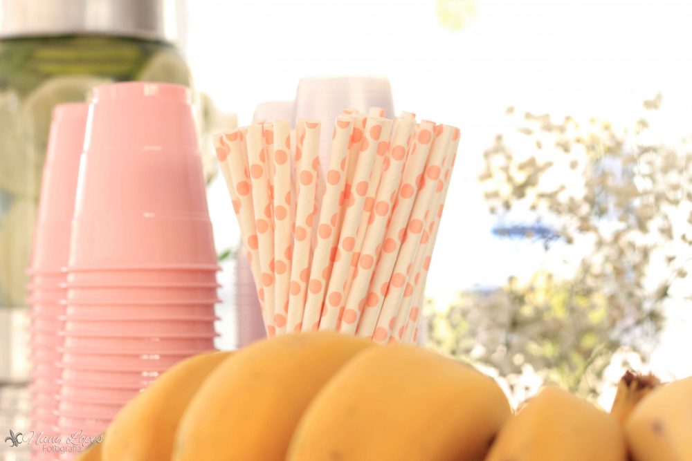 festa-infantil-tema-jardim-canudos