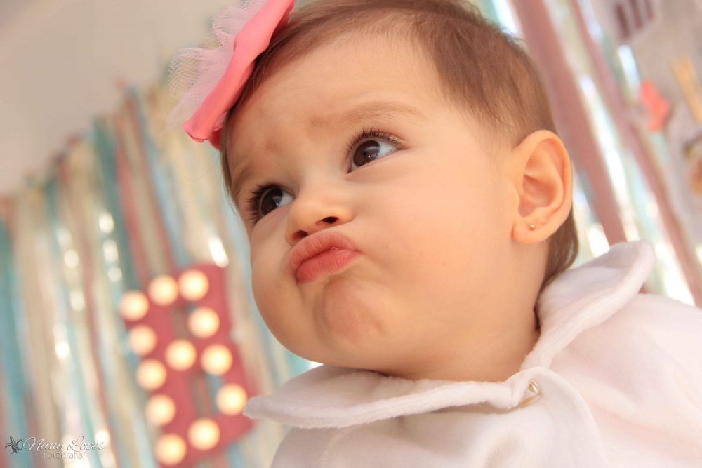 festa-infantil-tema-jardim-aniversariante-bia