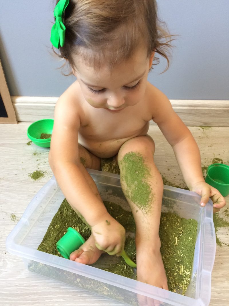 caixa-sensorial-erva-mate