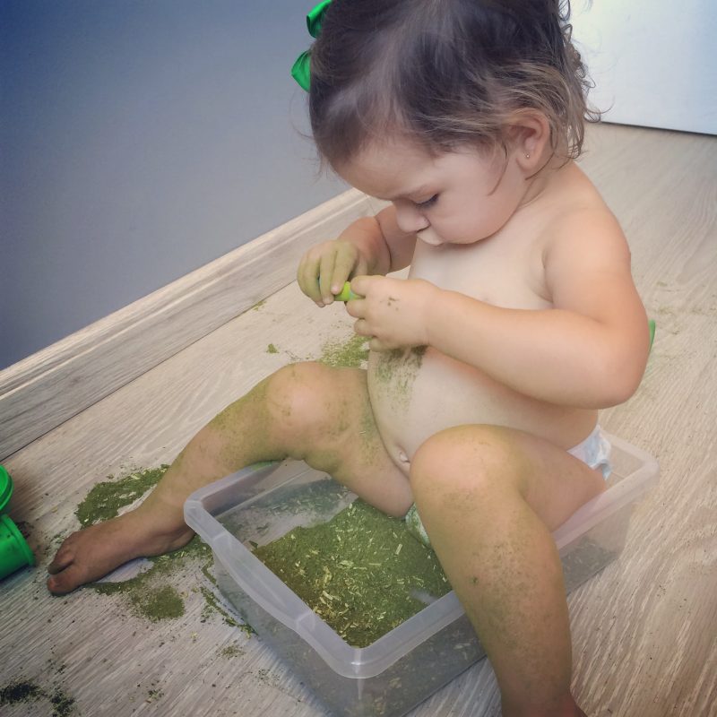 caixa-sensorial-erva-mate