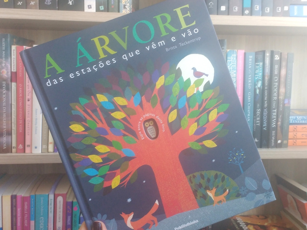 livro-infantil-estacaoes-do-ano