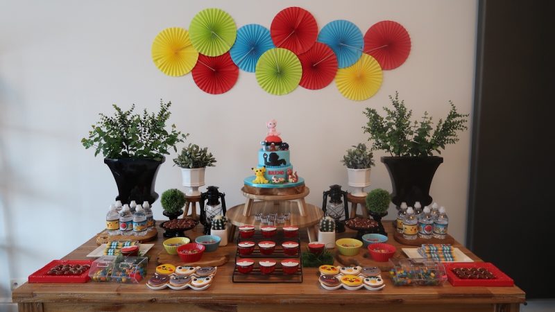 festa-infantil-tema-pokemon