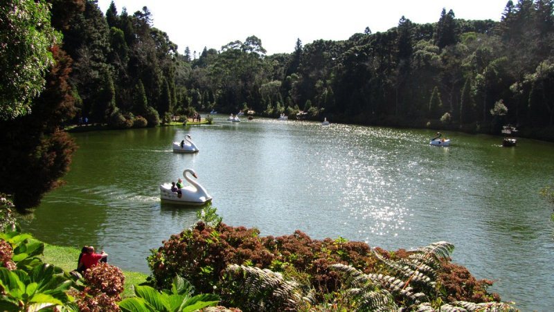 lago-negro