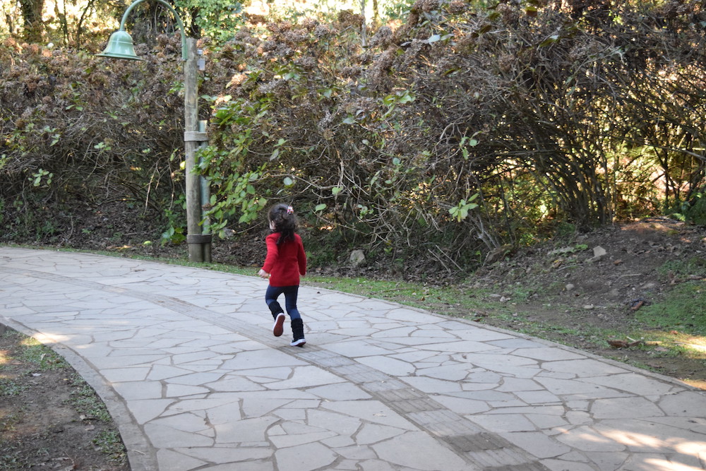 viagem-com-criancas-serra-gaucha-lago-negro