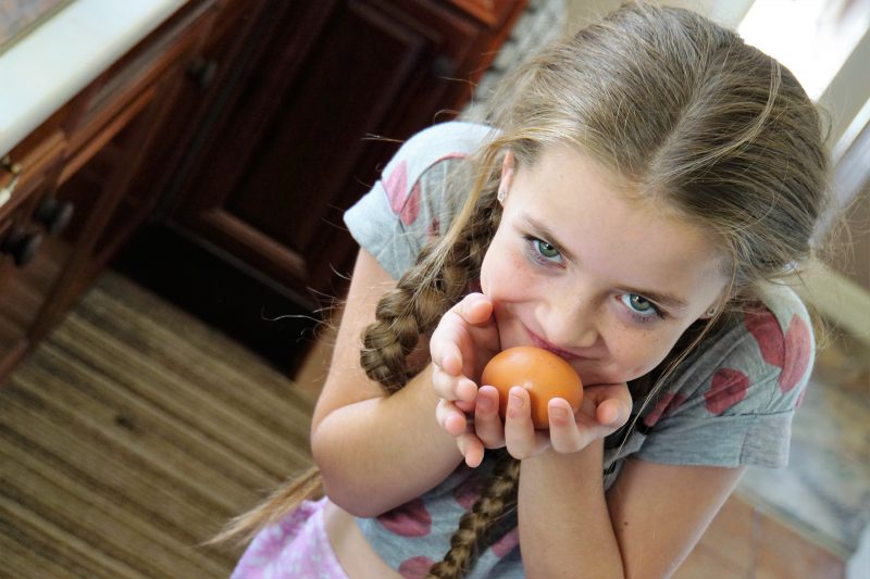 Ovo: o grande aliado da alimentação infantil saudável – Barato e nutritivo!