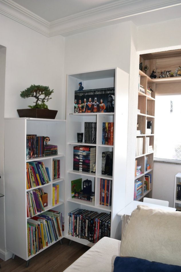 organizacao-livros
