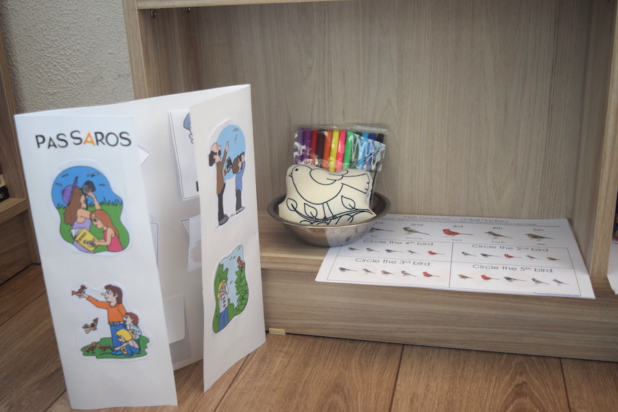 lapbooks-passaros