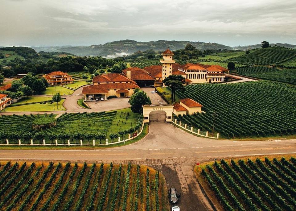 passeios-bento-goncalves-com-criancas-Vinícola Miolo
