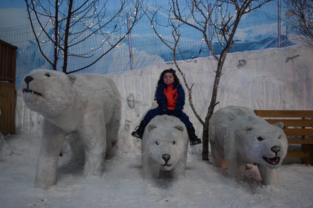 gramado-e-canela-snowlad