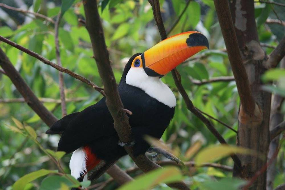 gramado-zoo-viagem-com-criancas