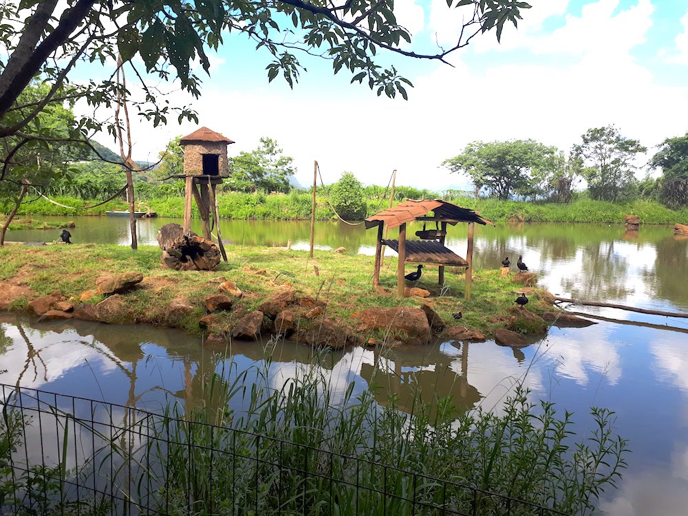 zoo-de-gramado