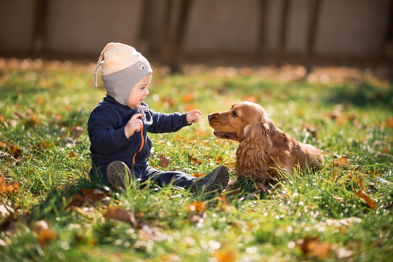Por que os cães podem ser bons para o crescimento do seu filho?