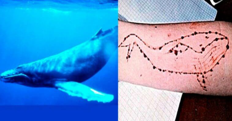 Tudo sobre o jogo da baleia azul