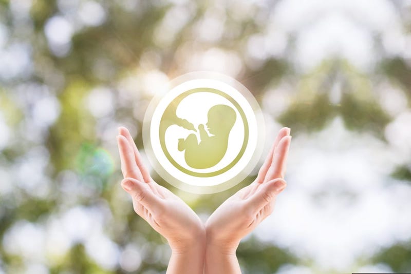 Fertilidade: como a alimentação e a saúde podem e influenciar?