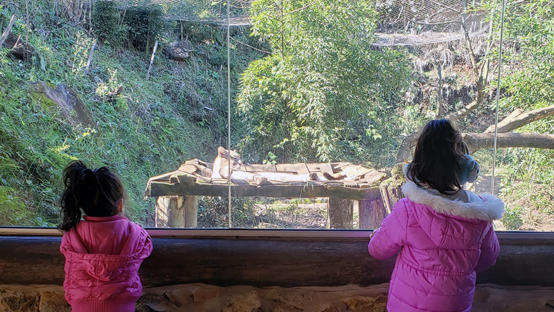 Final de semana em Gramado e Canela com crianças